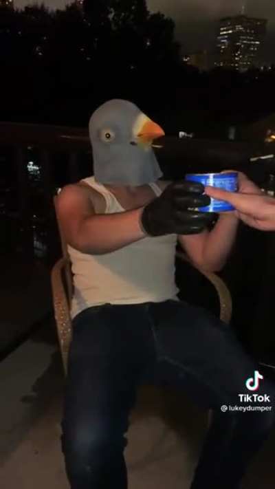 Birdwatching