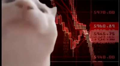 Watching my portfolio this week