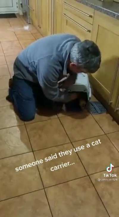 To put the ferrets in the carrier