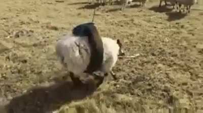Когда вы застряли, н у вас все реально за*бись!