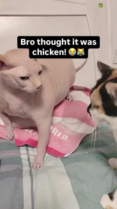 Cannibalistic Wunk
