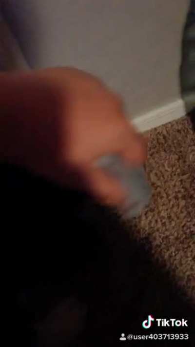 My first tik tok back in 2018 (I did not throw my dog at the door the bag is full of stuffed animals)