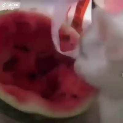Isso vai parecer meio gay mas... Esse tipo de v&iacute;deo me faz ter um pouquinho de f&eacute; na humanidade.