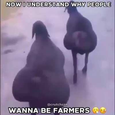 🌚