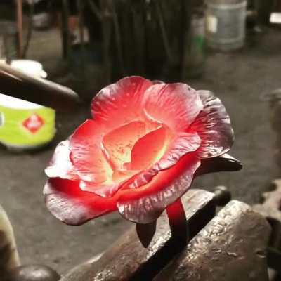 Caught a bit of glow on my friends new rose last night. He&rsquo;s &ldquo;the sculptor&rdquo; of the group.