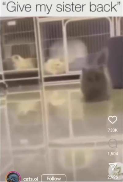2 for 1