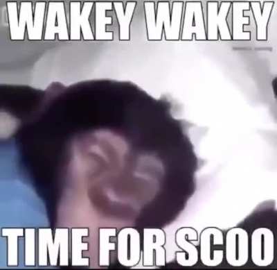 time for scoo bois