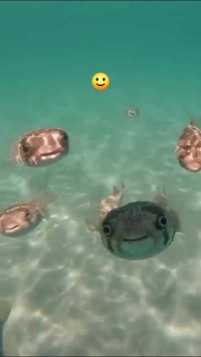 cursed_🙂