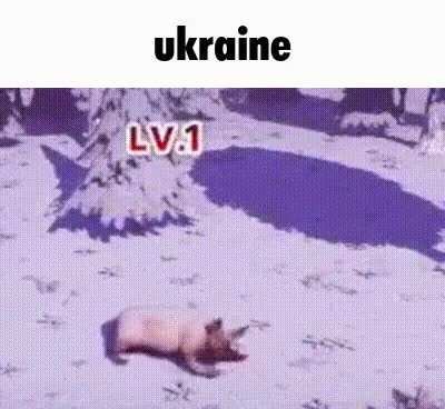flag of ukraine