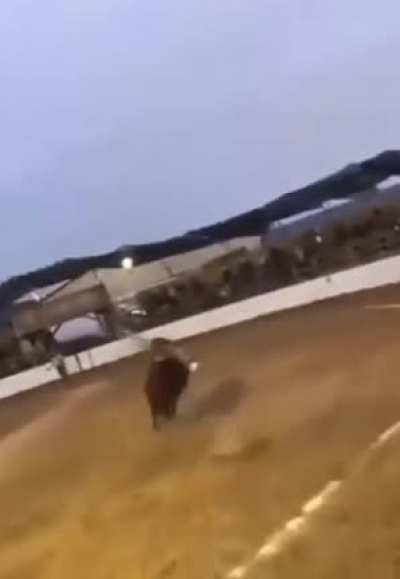 CAVALO