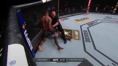Francis &ldquo;Bon Gamin&rdquo; Ngannou uses his superior technical skills to KO undefeated kickboxer Jairzinho Rozenstruik