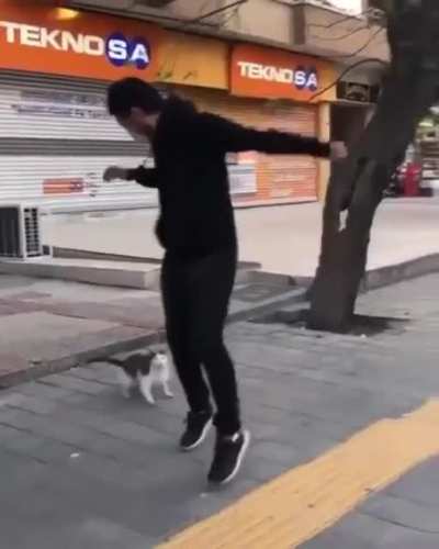 Cat is a dick