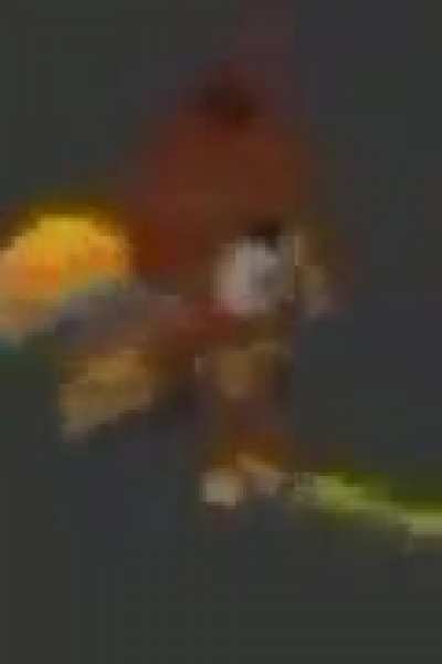 why 2