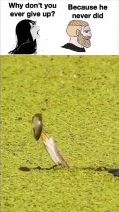 Uma verdadeira lenda 😎