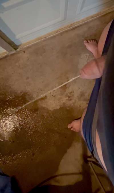 Couldn&rsquo;t hold it. Piss in garage 
