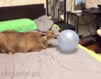 Wait for it&hellip;