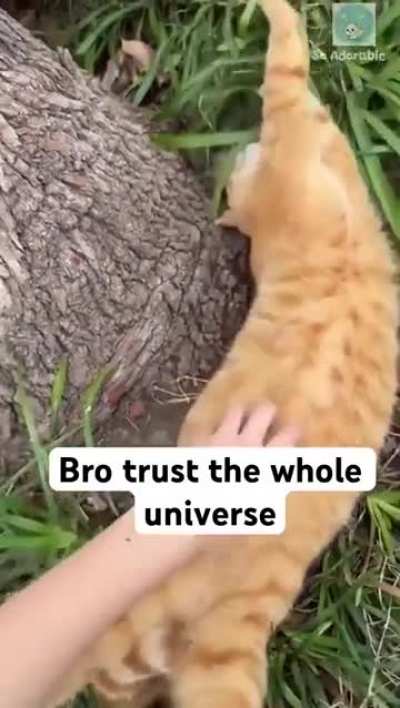 Free belly rubs 🤣