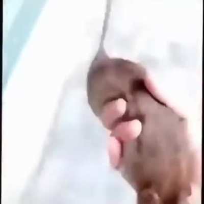 :>