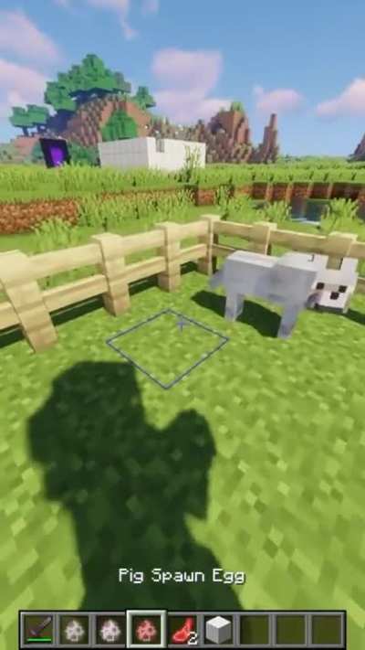 .....