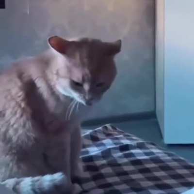 У стоматолога