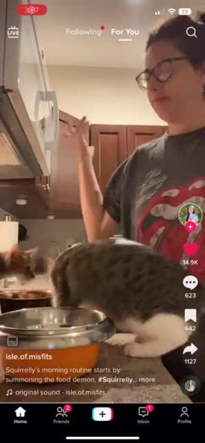 Cats.