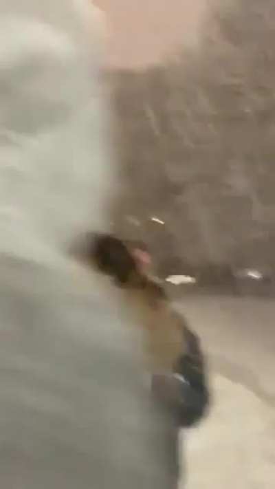 Seattle woman trying to run over pedestrians for hitting her car with a snowball