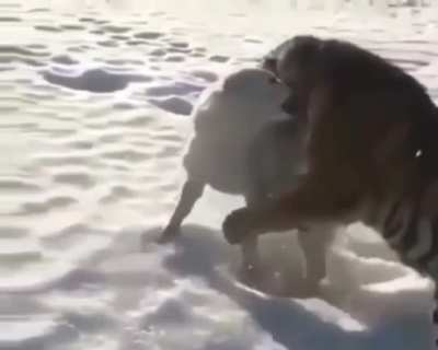 Maybe Maybe Maybe