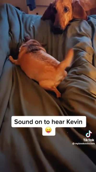 Sound on to hear Kevin