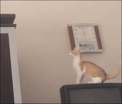 I can do this&hellip;I can do this&hellip;