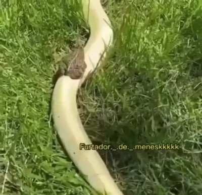 se for repost,me desculpe