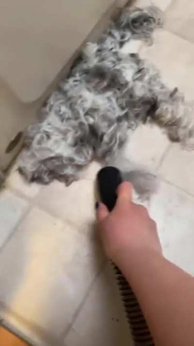 Time to clean up the bathroom