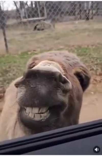 You&rsquo;re gonna smile at this one
