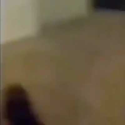 blursed_acrobat
