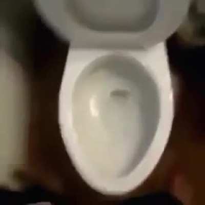 it go bye bye