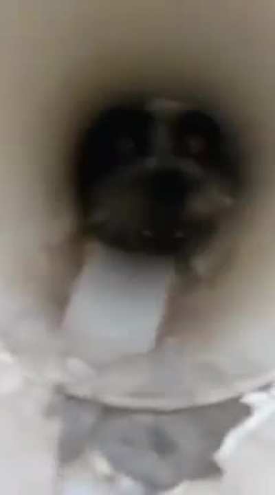Angry hole