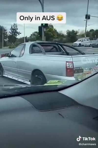 Ute