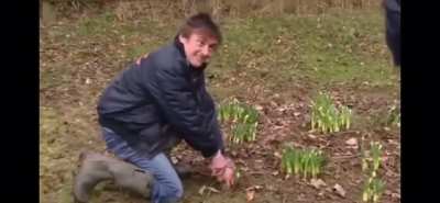 The best way to get rid of weeds