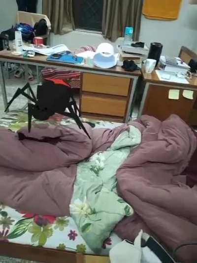 Roommate sent me a video from pre COVID times at hostel...