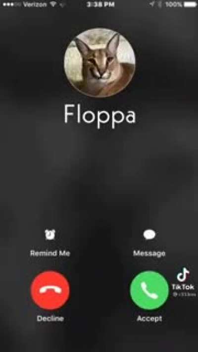 Floppa 😡😡