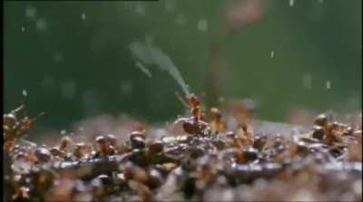Chemical war