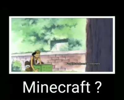 MINECRAFT?