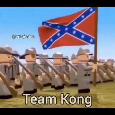 Team Kong