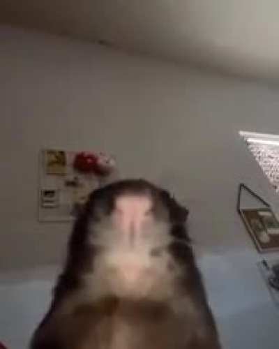 T&aacute;