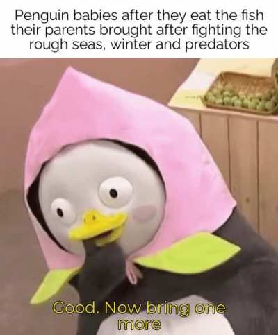Penguin hunger stronk
