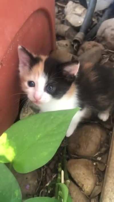 the first time she&rsquo;s been out of her baby box