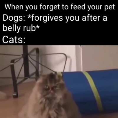 They will hold the grudge forever