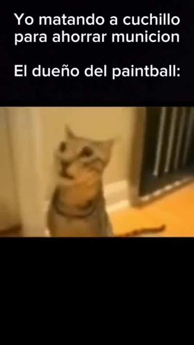 BeelcitosMemes - Video #2826