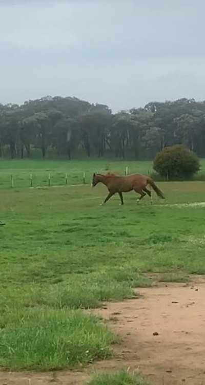 So graceful
