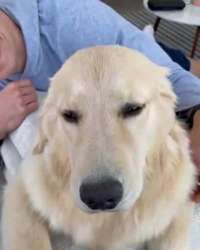 Somebody&rsquo;s enjoying their head massage.