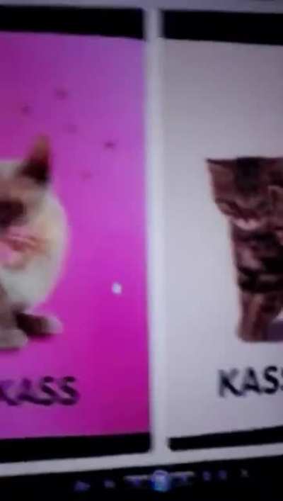 min&auml;👅😺irl